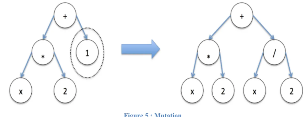 Figure 5 : Mutation