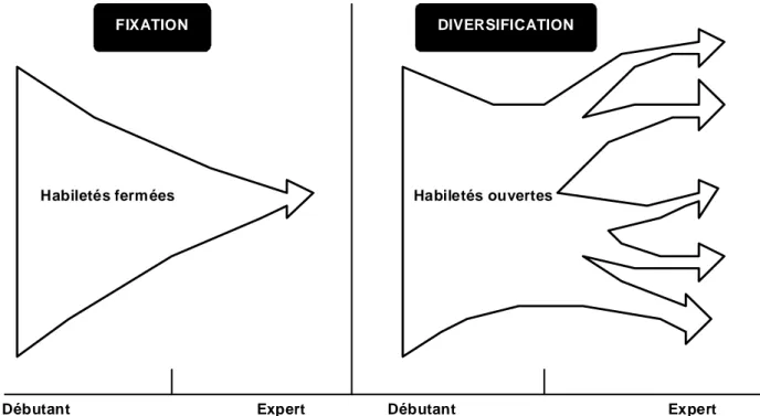 Figure 2 : fixation et diversification des habiletés motrices 