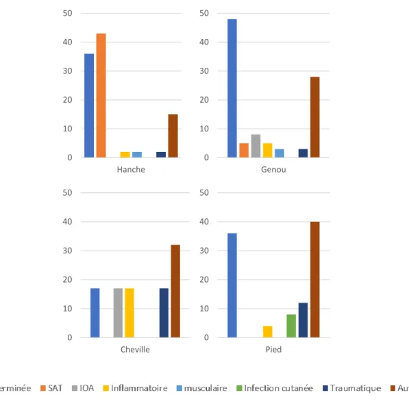 Figure 4 : Détails des diagnostics retenus concernant les consultations pour douleurs de hanche, genou,  cheville et pied