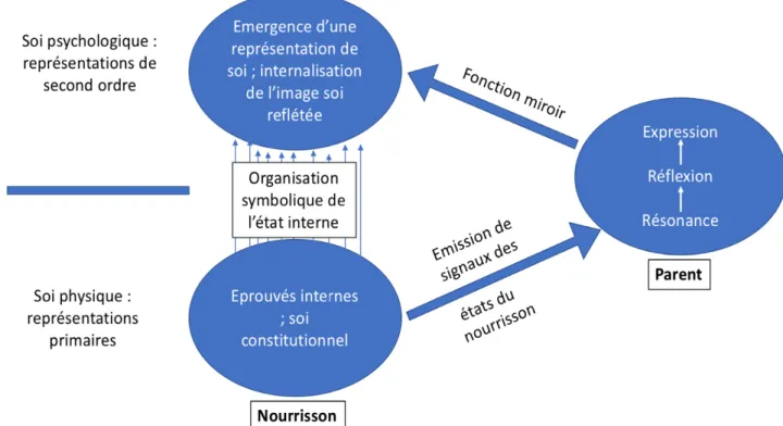 Figure 1-1. Modèle de régulation émotionnelle et de la fonction miroir (d'après Debbané, 2016)
