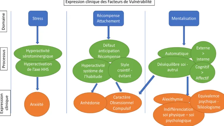 Figure 2-2 Expression clinique des facteurs de vulnérabilité dans l'anorexie mentale. 
