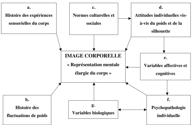 Figure 1 : Traduction d’un schéma proposé par Slade représentant les différents  facteurs influençant l’image corporelle (22) 