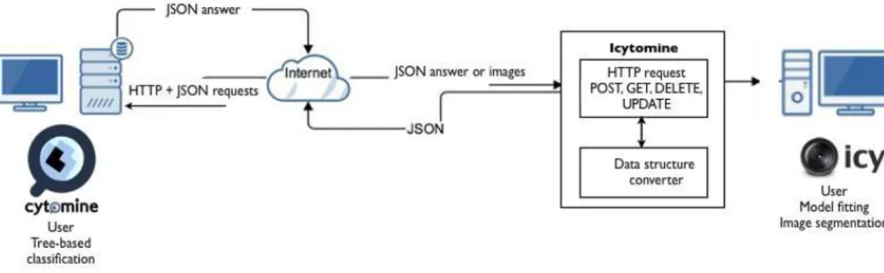 Fig. 1. An overview of our workflow and its communication mechanisms between Icy and Cytomine.