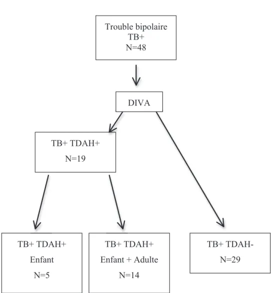 Figure 3 : Diagnostics DIVA du TDAH dans le trouble bipolaire  TB+ TDAH+ N=19 TB+ TDAH+ Enfant N=5 TB+ TDAH+ Enfant + Adulte N=14  TB+ TDAH- N=29 DIVA Trouble bipolaireTB+ N=48 