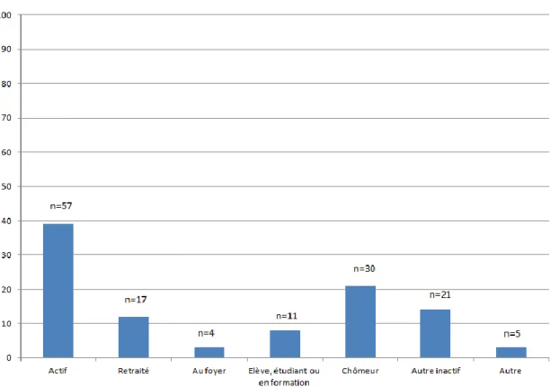 Figure 11. Répartition des sujets en fonction de l’activité professionnelle, en  pourcentage 