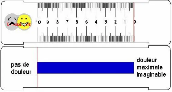 Figure 2 : Échelle Visuelle Analogique, recto/verso 