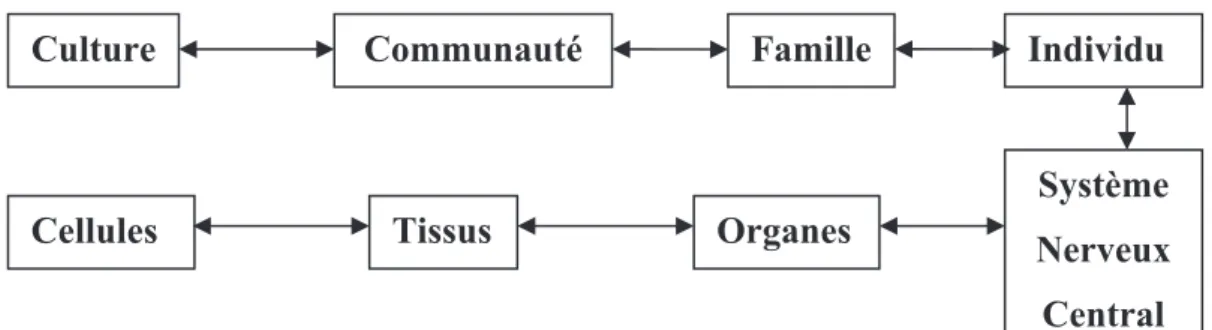 Figure 10 : Le modèle biopsychosocial [70] 