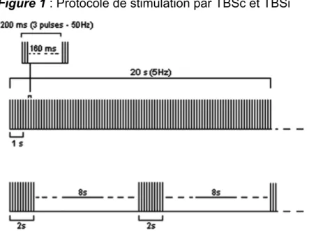Figure 1 : Protocole de stimulation par TBSc et TBSi 