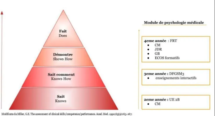 Figure 2 : Pyramide de Miller de la compétence clinique et module de psychologie médicale des étu-  diants en médecine de l’Université Paris Descartes 