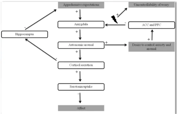 Figure 4 : schématisation du modèle neurobiologique proposé par Hilbert et al. (2014) 