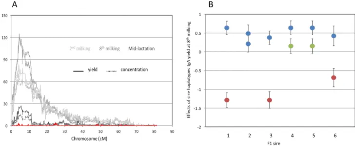 Figure 1. Chromosome 16 QTL for colostrum and milk IgA content. (A) Location scores (LRT = likelihood ratio test) obtained when scanning bovine chromosome 16 for QTL influencing IgA concentration (dotted lines) and yield (continuous line) in colostrum coll