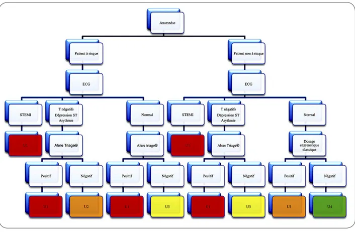 Figure 6.  Algorithme de triage infirmier avancé adapté pour la douleur thoracique