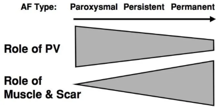 Figure 3 : Evolution du substrat en fonction du caractère paroxystique, persistent ou  permanent de la FA