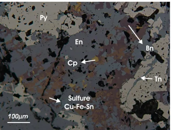 Figure 37 : image des minéraux analysés par EDX vue au microscope optique à lumière réfléchie sur une veine tn- tn-en-cp (Py : pyrite, Cp : chalcopyrite, Bn : bornite, Tn : tennantite, En : enargite)