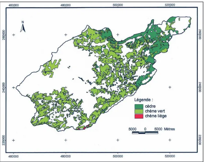 Fig. 3: Carte de la végétation arborée, extraite de l'image Landsat ETM+ de 2001.