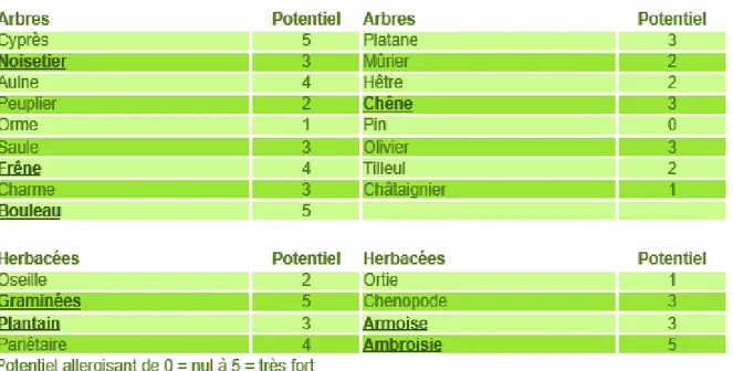 Tableau 1 : Potentiels allergisants de différentes espèces d’arbres et d’herbacées  (tableau du RNSA* [52]) 