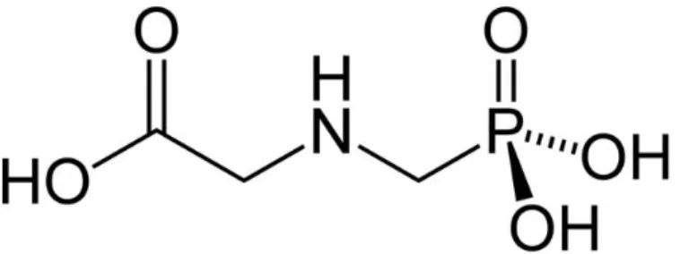 Figure 14 : structure chimique du glyphosate. 
