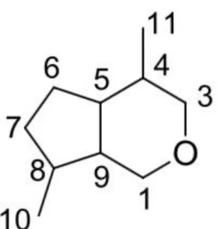 Figure 8 : Une unité d’isoprène C5H8 (Pherobase) 