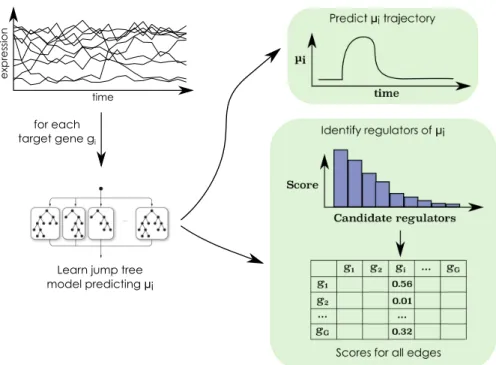 Fig. 2 The Jump3 framework. For each target gene g i ,i = 1, . . . ,G, a function f i in the form of an ensemble of jump trees is learned from the time series of expression data