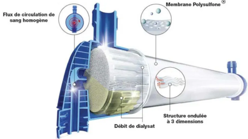 Figure 6 : Le dialyseur  (95) 