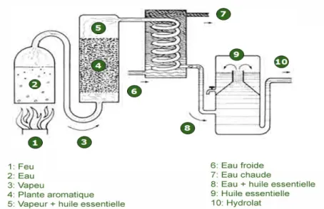 Figure 9     : distillation d'une huile essentielle 27