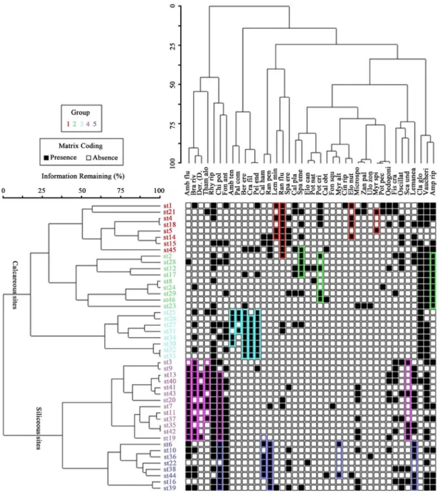Figure 2. Results of two-way clustering analysis applied to the vegetation matrix of Semois-Chiers (Species abbreviations  and full name are in electronic Appendix 2