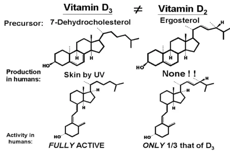 Figure 1 : Similarités et différences structurelles et biologiques entre vitamine D2 et D3 4 Ces  deux  formes  de  la  vitamine  D  sont  issues  de  la  famille  des  9,10-sécostéroides,  c’est à dire que l’un des 4 cycles du noyau stérane (cycle B dans 
