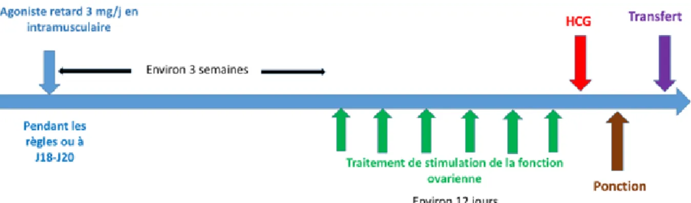 Figure 9 : Protocole agoniste long (forme retard) : schéma thérapeutique. (Le moniteur des  pharmacie n°2908) 