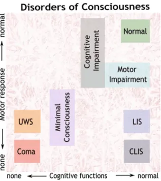 Fig. 1 Motor responses and cognitive functions for coma, unresponsive wakefulness state (UWS), minimally consciousness state (MCS), locked-in syndrome (LIS), complete locked-in syndrome (CLIS)
