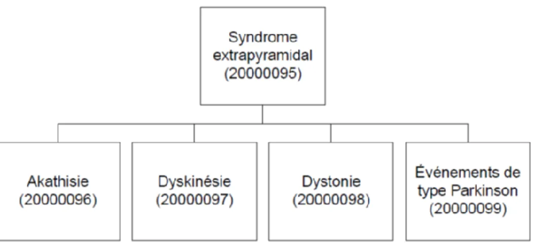 Figure I-2 Structure hiérarchique du SMQ syndrome extrapyramidal 