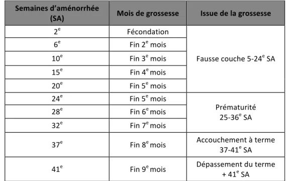 Tableau 2 Calendrier de la grossesse(18)