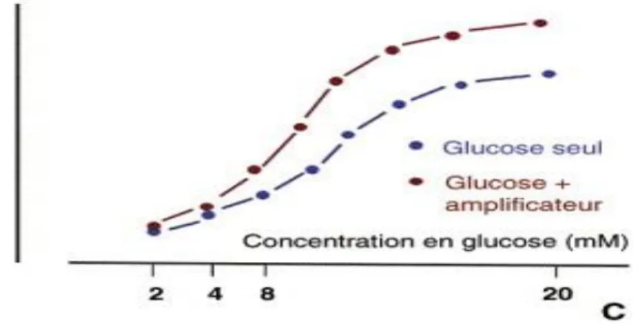 Figure 7 : Sécrétion d’insuline en réponse à des concentrations croissantes de glucose seul ou en présence d’un facteur  amplificateur (Magnan C., 2005)