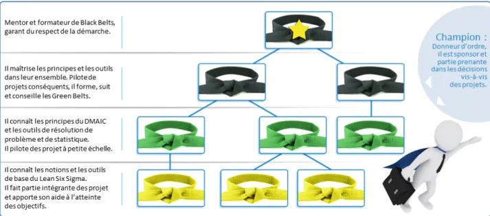 Figure 6 : La hiérarchie Belt dans une entreprise 