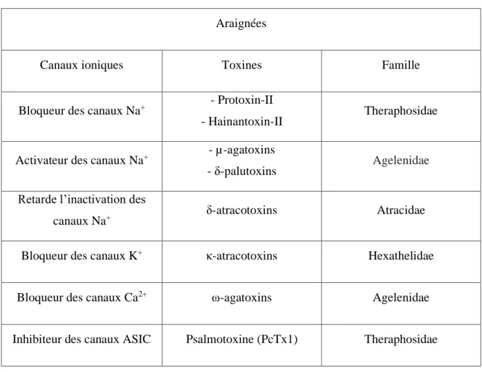 Tableau 8 : Classification des toxines scorpioniques (9)  