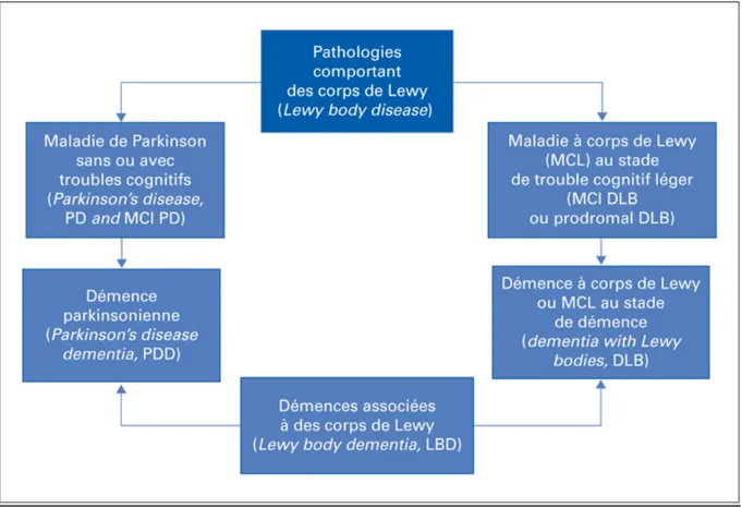 Figure   4   Impact   des   corps   de   Lewy   dans   différentes   pathologies   :   Démence   Parkinsonienne   (PDD),   Maladie   à   corps   de   Lewy    (MCL),   Maladie   de   Parkinson   (PD),   Démence   à   corps   de   Lewy   (DLB)   [15]   