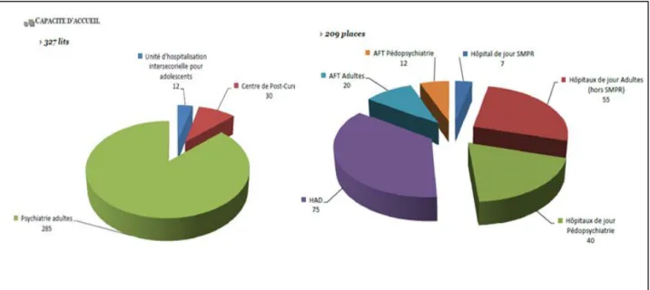 Figure 4: Capacité d'accueil du CH Philippe Pinel  (source : livret d'accueil des stagiaires 2015)