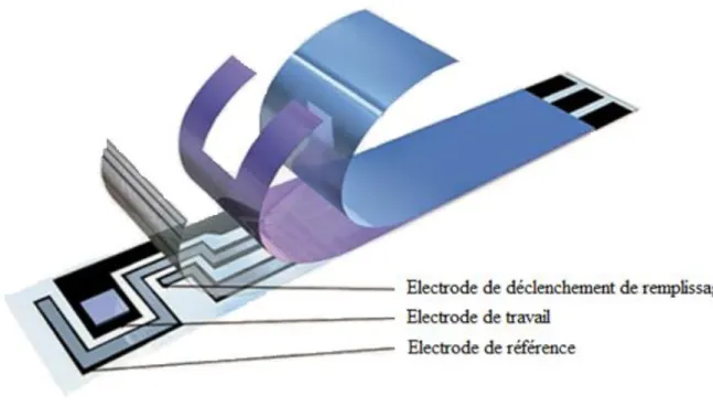 Figure 18 : Composition d’une électrode glycémique (101). 