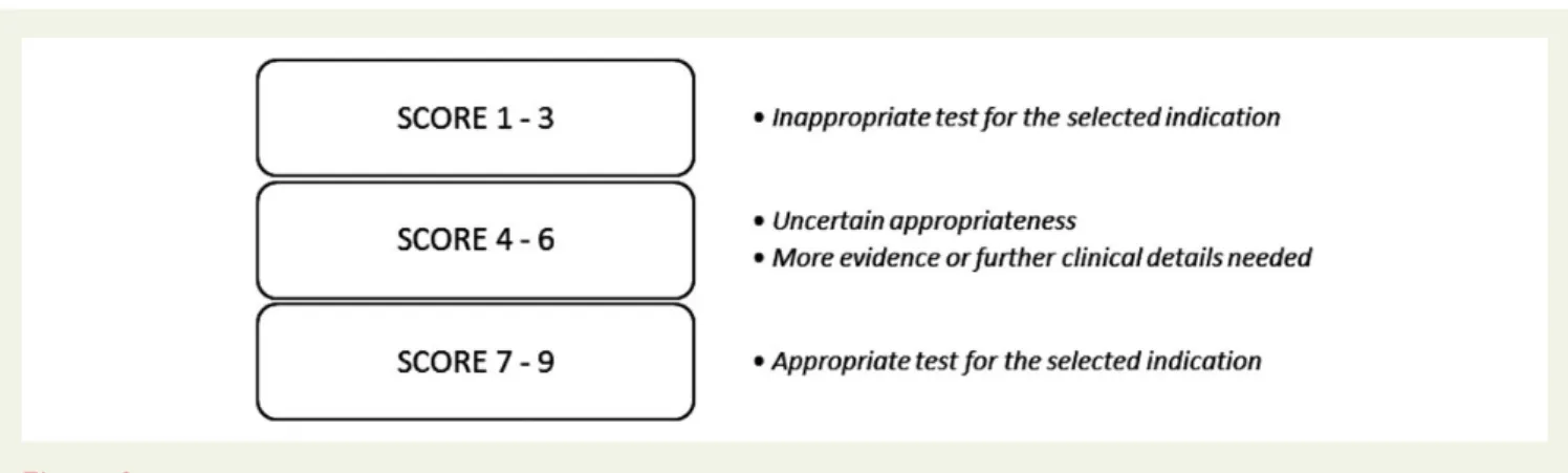 Figure 2: Appropriateness scoring.
