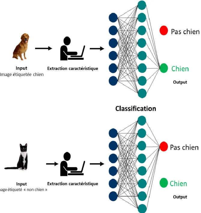 Figure 11: schéma explicatif de la phase d’apprentissage d’un logiciel de machine learning 