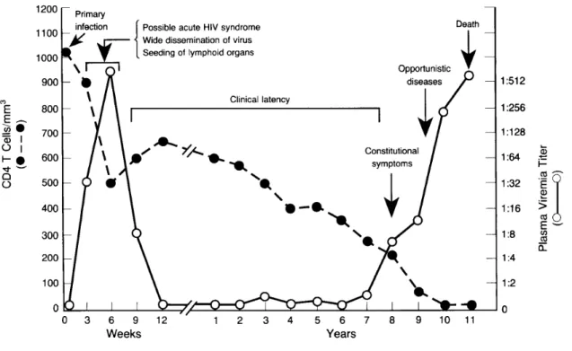 Figure 6: Pathogénèse du VIH-1  