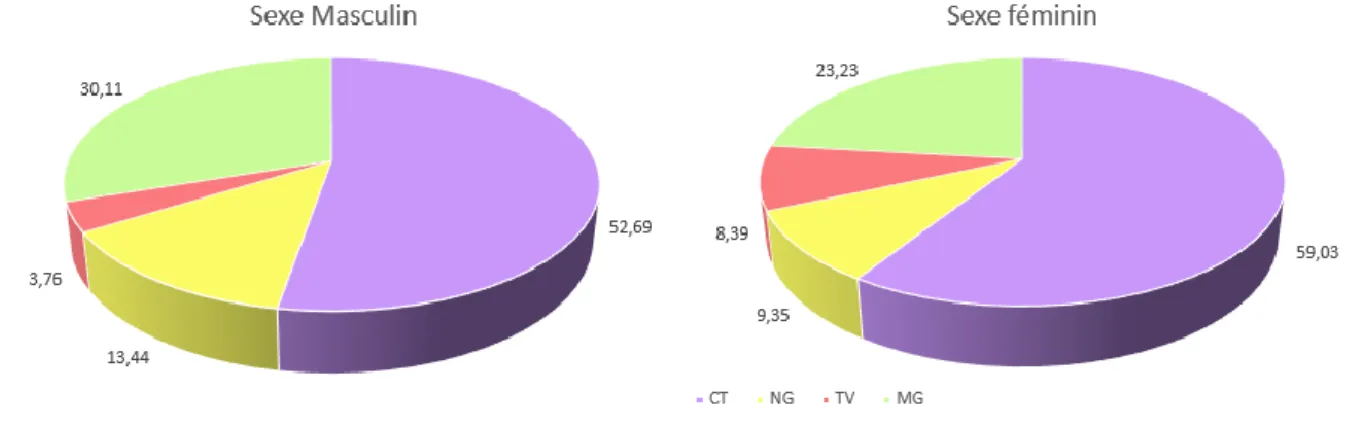 Figure 7: Répartition des agents d'IST selon le genre sur la période 2019-2020 
