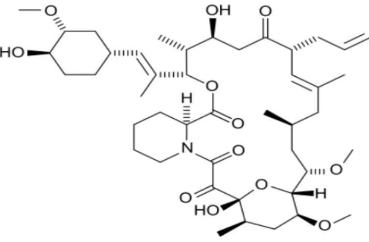 Figure 4 : Structure chimique du tacrolilmus 