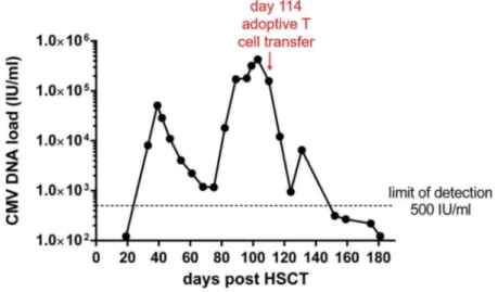 Figure 2. Detection of CMVpp65-speci ﬁ c T cells in PBMC and isolation from a leukapheresis of the family HSCT donor