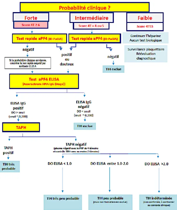 Figure 13 : Algorithme décisionnel du CHUGA pour le diagnostic de TIH (111) 