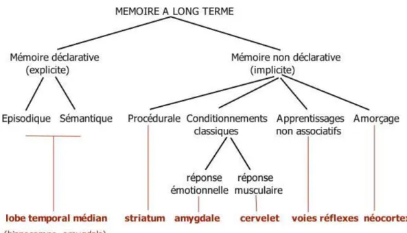 Figure 2 : Taxonomie des systèmes de mémoire (2). 