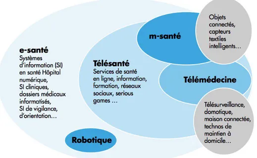 Figure 3 - Répartition de la e-santé  (14)