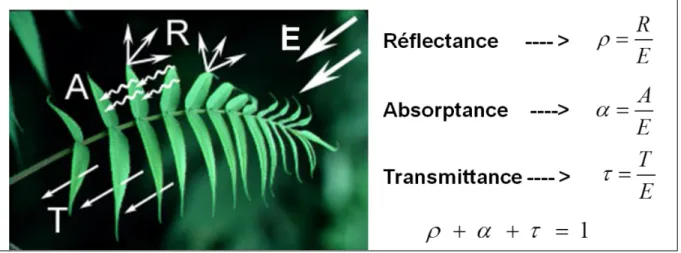 Figure 3 : Principe de la réflectance solaire 