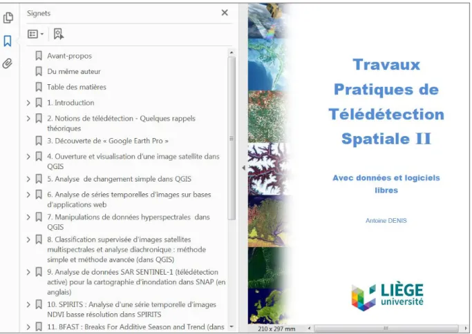 Figure 1 : Utilisez les signets pour naviguer plus facilement dans ce manuel ! 