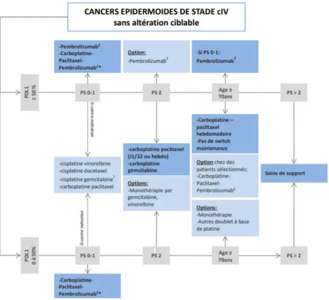 Figure 4 - Arbre décisionnel pour les carcinomes épidermoïdes de stade IV (Source : Référentiels AURA) 