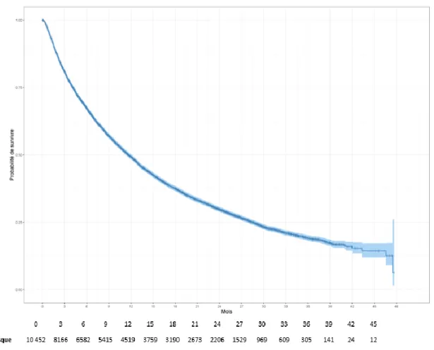 Figure 11 - Courbe de survie globale 